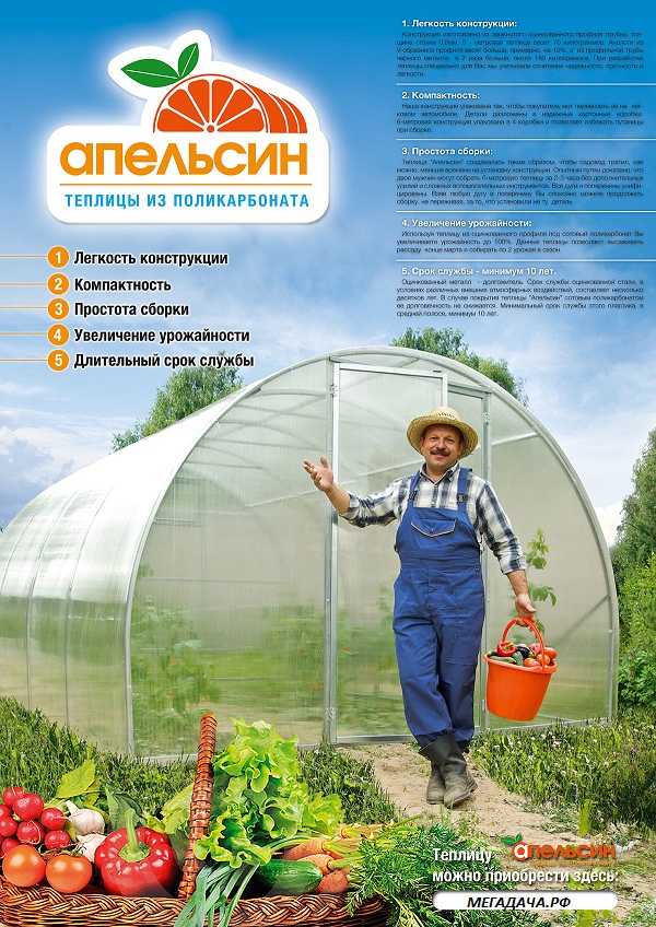 Теплица "Апельсин"