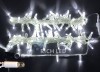 �������� (����-���) IP65 RL LED 100�, ���.����., 10�,��.��.,�� 10��.,220�,�. ���� RL-S10CF-220V-CT/W