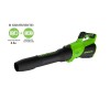 ������������ �������������� Greenworks 40V GD40BG3 (1���� 4 �/� � ��) 2408207UB