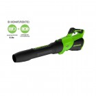 ������������ �������������� Greenworks 40V GD40BG3 (1���� 4 �/� � ��) 2408207UB