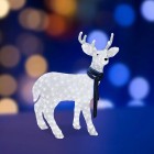 ������ ��������� ������������ NEON-NIGHT �������� ����� LED 420�, 100�65��, ��������. IP44 513-244