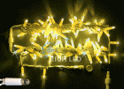 �������� (����-���) IP65 RL LED 100�, ����.����.,10�,�.��., �� 10��.,220�,�. ���� RL-S10CF-220V-CW/Y