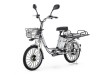 ���������������� 2-� �������� (����������) E-NOT Express Big 60V20A � �����������