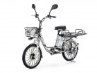 ���������������� 2-� �������� (����������) E-NOT Express Big 60V20A � �����������