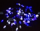 �������� (�����-������) IP54 WN LED 100�., ���-���,1-2��.,10�,���.�.2,2�� bw.01.7�.100+2.5B