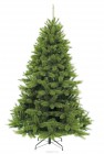 ����� TRIUMPH TREE ������ ���������� 185 �� 73362/388726