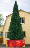 ��� ��������� GREEN TREES ���������� 11� (����-������)  ��4008