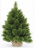 ����� TRIUMPH TREE ������ ���� 90 �� � ������� 73699/475372