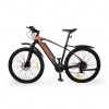 ���������������� 2-� �������� (����������) HOVERBOT CB-4 X-Rider 250W/36V ������/���������