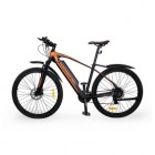 ���������������� 2-� �������� (����������) HOVERBOT CB-4 X-Rider 250W/36V ������/���������