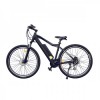 ���������������� 2-� �������� (����������) HOVERBOT CB-4 X-Rider (2019) 250W/36V ������/�����