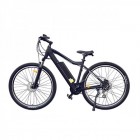 ���������������� 2-� �������� (����������) HOVERBOT CB-4 X-Rider (2019) 250W/36V ������/�����