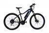 ���������������� 2-� �������� (����������) HOVERBOT CB-5 RANGE (2019) 500W/48V ������/�����
