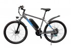 ���������������� 2-� �������� (����������) HOVERBOT CB-9 Genus 350W/36V �����-�����