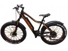 ���������������� 2-� �������� (����������) HOVERBOT FB-2 500W ������/���������