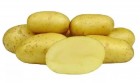 Семена Картофель УДАЧА 2 кг