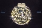 Светлячки в лампочке-15см WN LED 10 л.,т.бел.,5м,черн.пров.,IP20 ww.01.5B.1.15