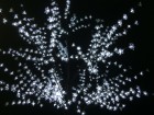 Дерево светодиодное ST Сакура LED бел+вспыш.,2,4м,черн.пр. 5м,с трансформ.24В IP44,BLEDA800-11W WF